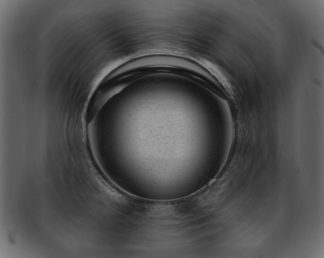 X0000093211238200709261550