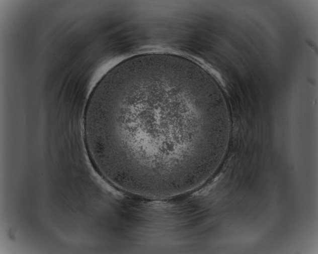 X0000093211239200709261550