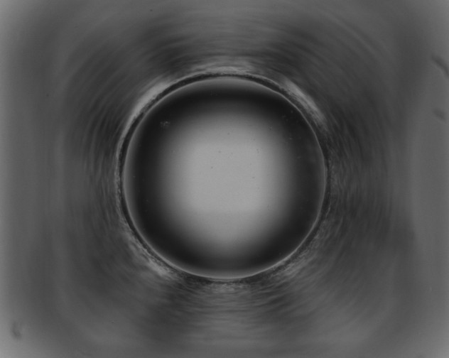 X0000093211240200709261550