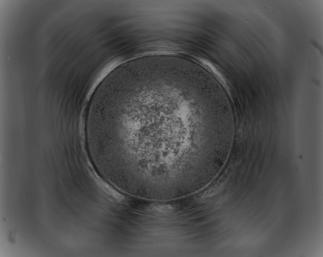 X0000093211243200709261550