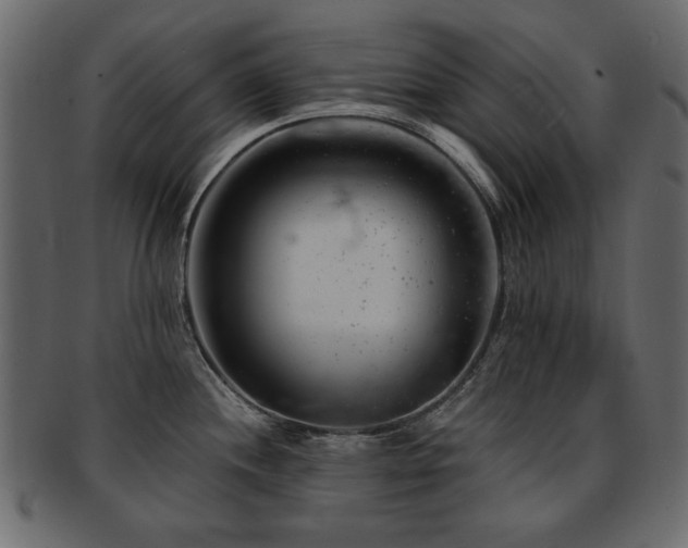 X0000093211244200709261550