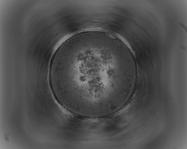 X0000093211245200709261550
