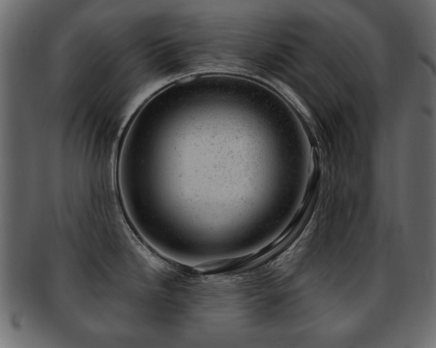 X0000093211246200709261550