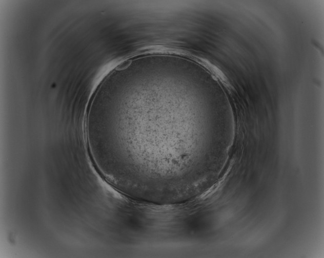 X0000093211247200709261550