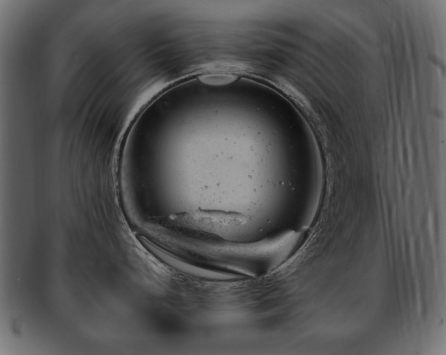 X0000093211248200709261550