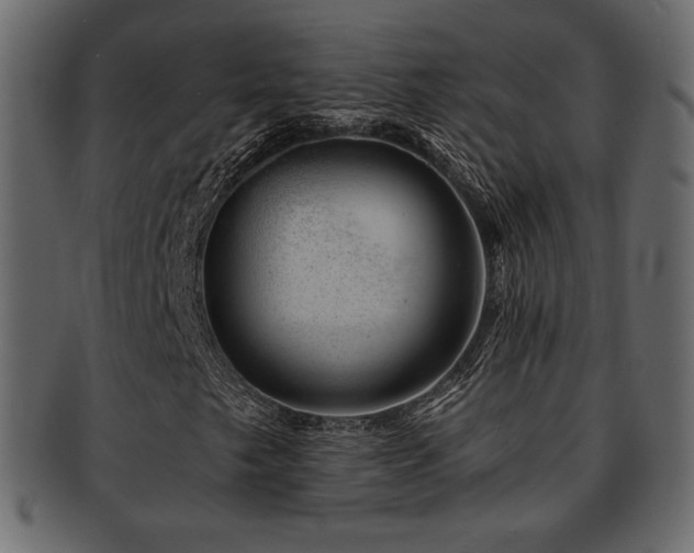 X0000093211249200709261549