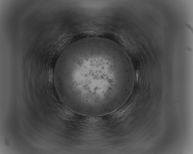 X0000093211251200709261549