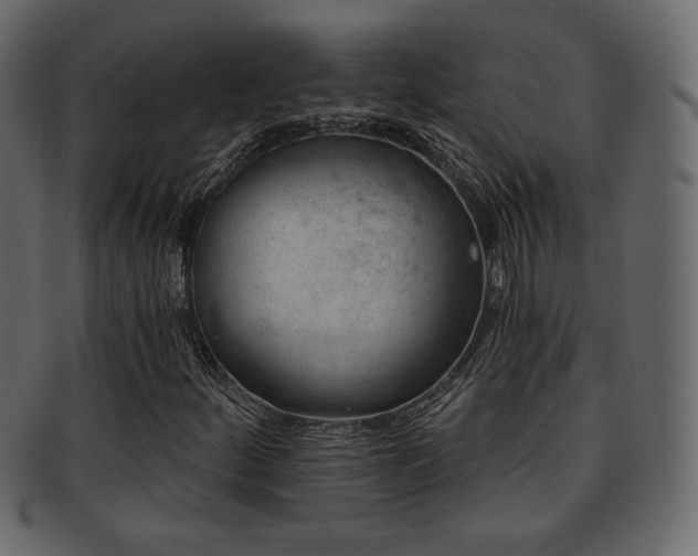 X0000093211252200709261549