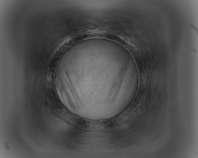 X0000093211254200709261549