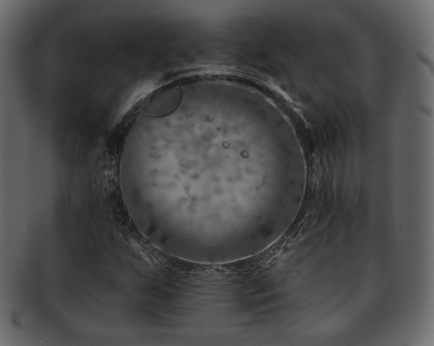 X0000093211255200709261549