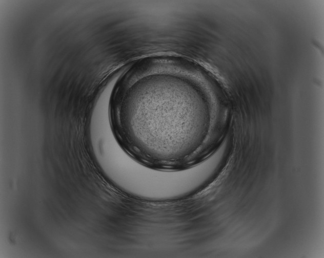 X0000093211257200709261549