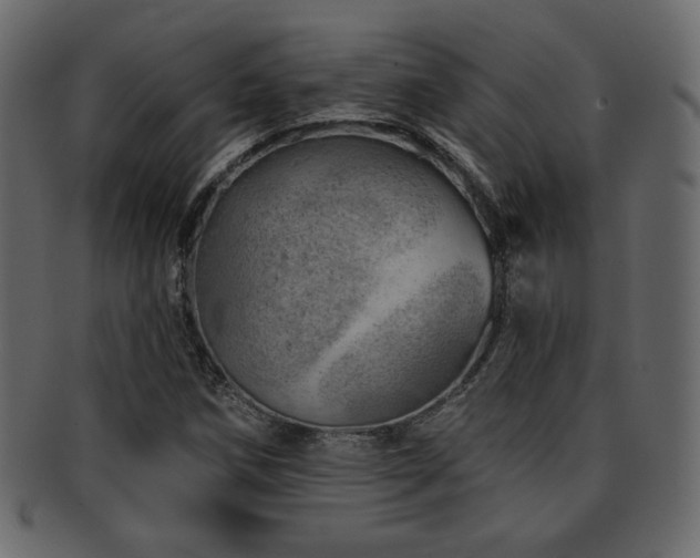 X0000093211258200709261549