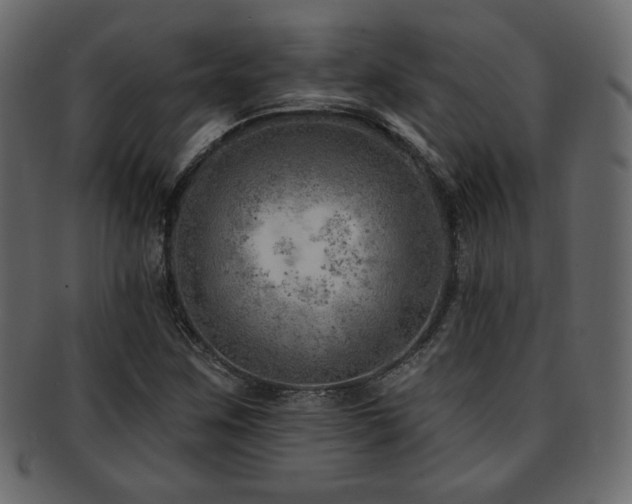 X0000093211259200709261549