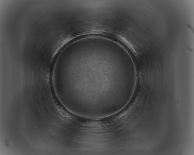 X0000093211260200709261549