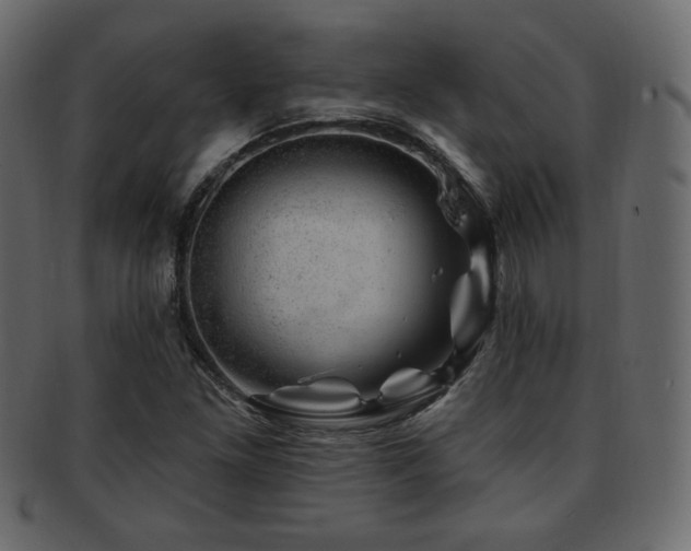 X0000093211261200709261549