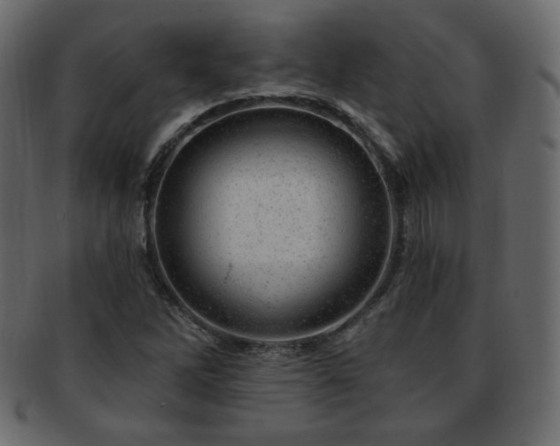 X0000093211262200709261549