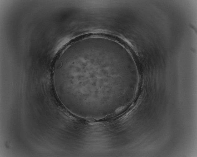 X0000093211263200709261549