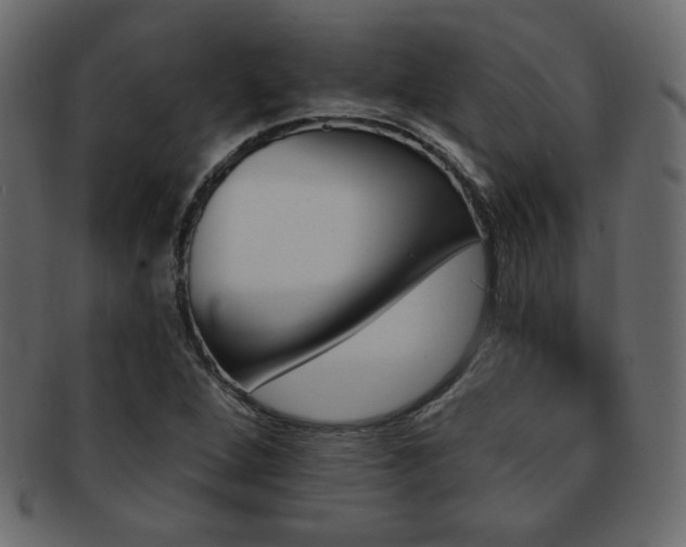 X0000093211264200709261549