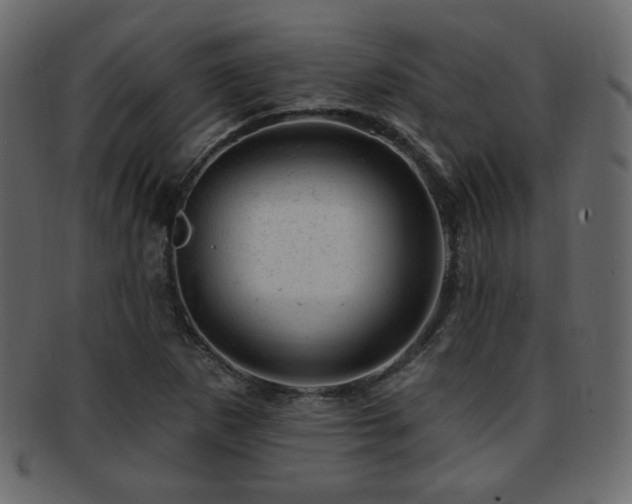 X0000093211265200709261549