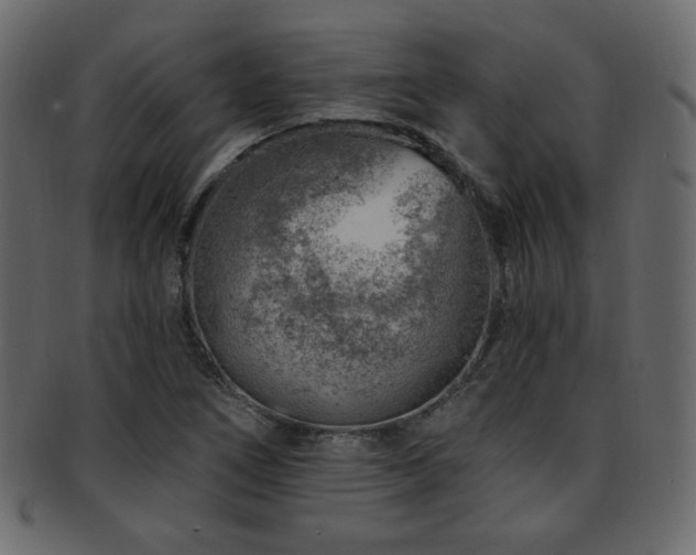 X0000093211266200709261549