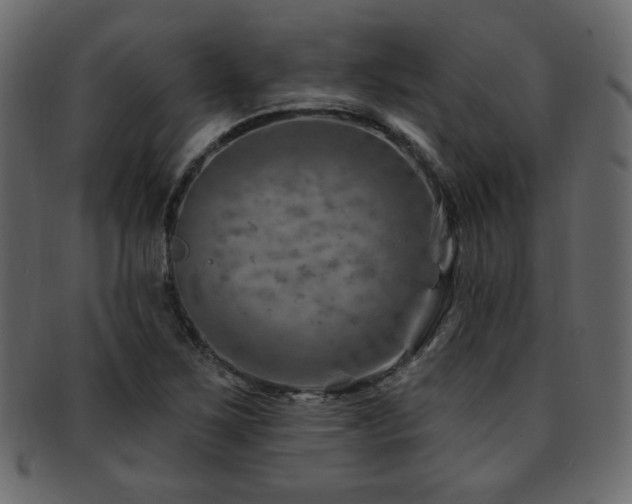 X0000093211267200709261549