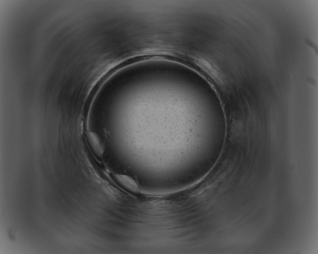X0000093211268200709261549
