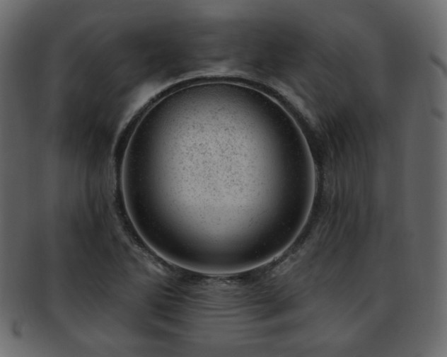 X0000093211270200709261549