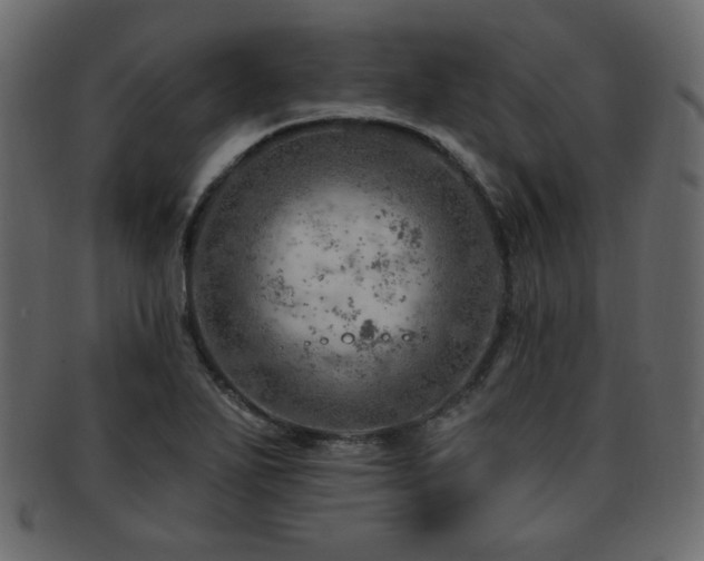 X0000093211271200709261549