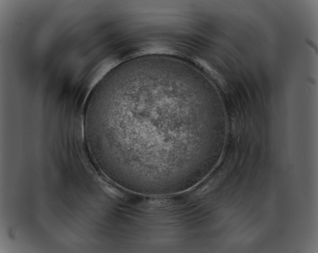 X0000093211274200709261549