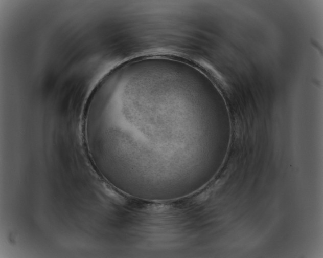 X0000093211278200709261549