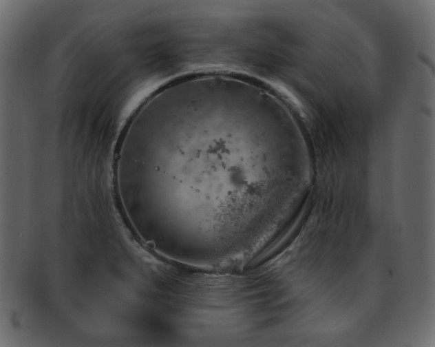 X0000093211279200709261549