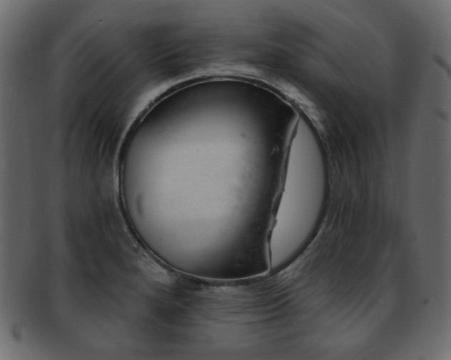 X0000093211280200709261549