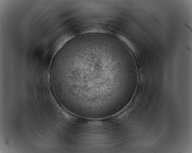 X0000093211282200709261549