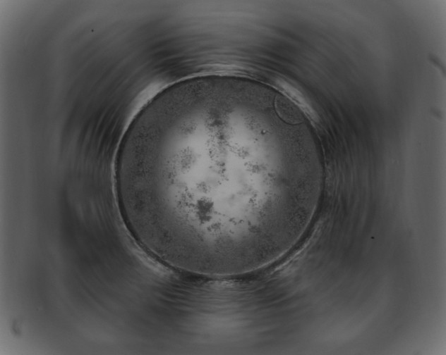 X0000093211283200709261549