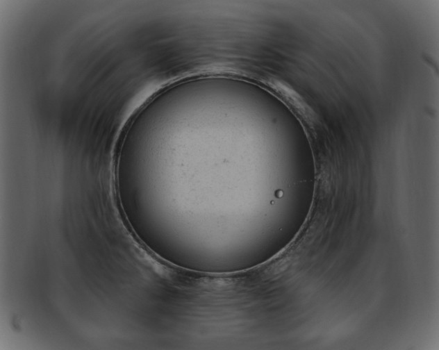 X0000093211286200709261549