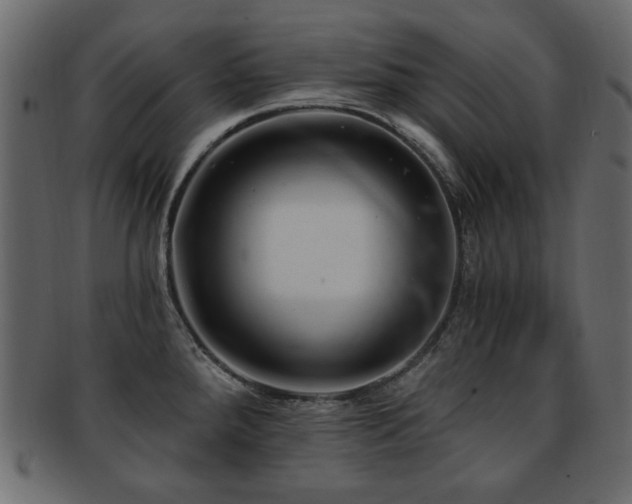 X0000093211288200709261549
