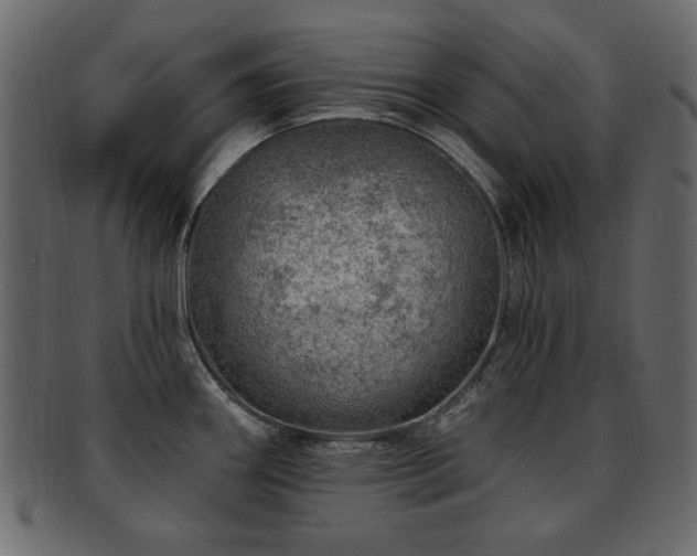 X0000093211290200709261548