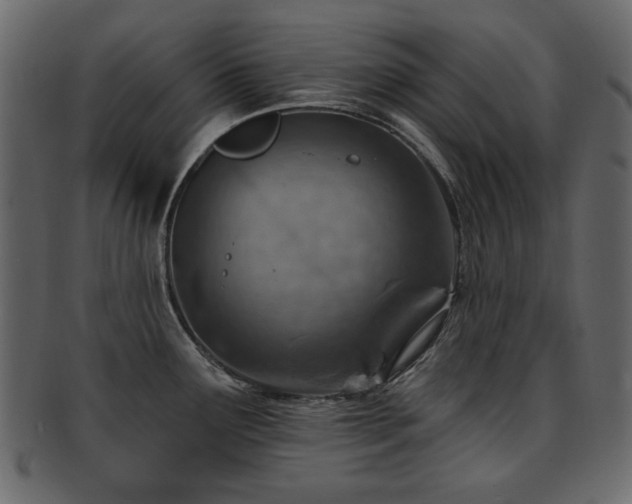 X0000093211291200709261548