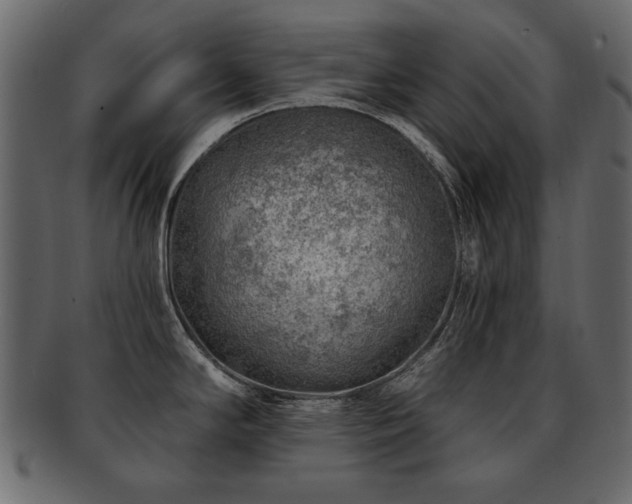 X0000093211294200709261548