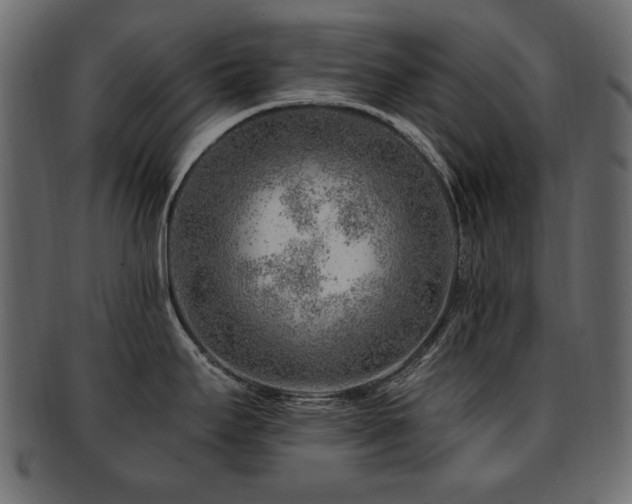 X0000093211295200709261548