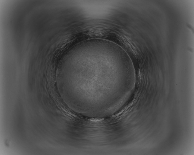 X0000093211297200709261548