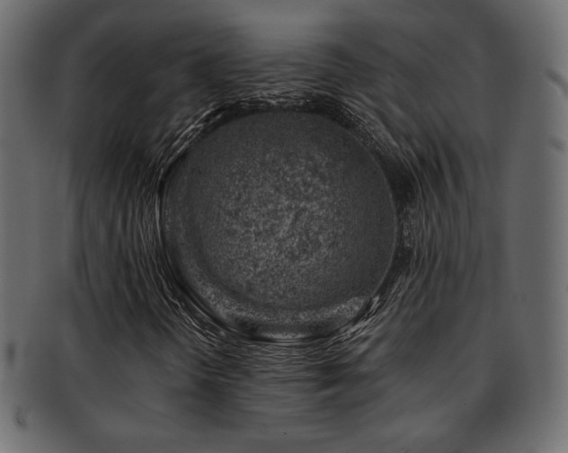 X0000093211298200709261548