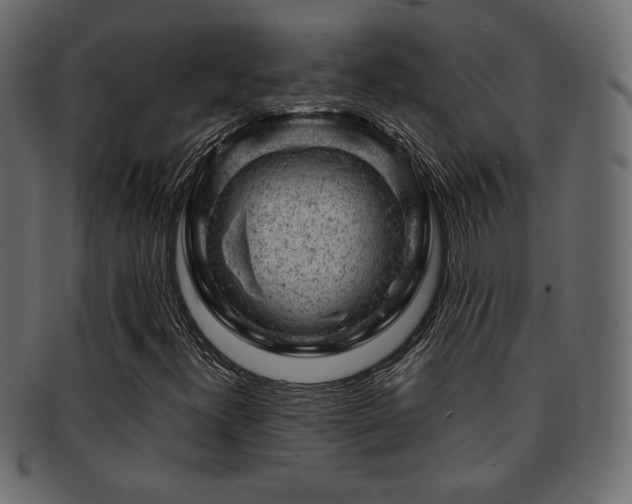 X0000093211300200709261548