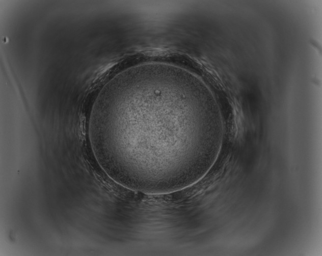 X0000093211301200709261548