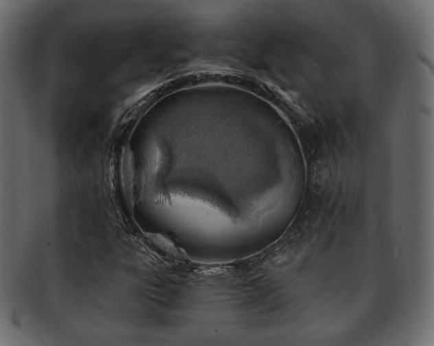 X0000093211303200709261548