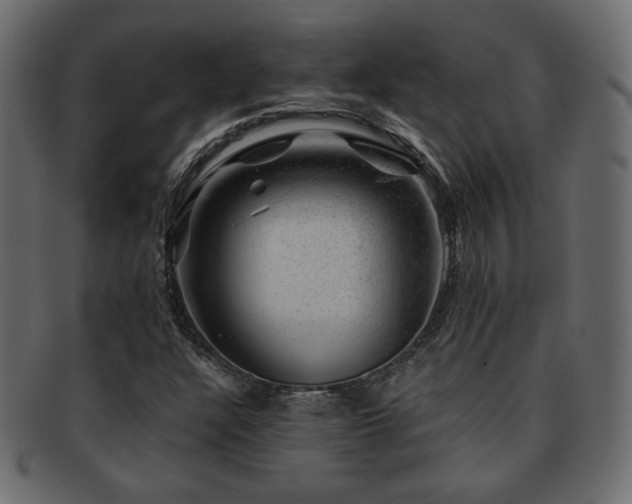 X0000093211304200709261548
