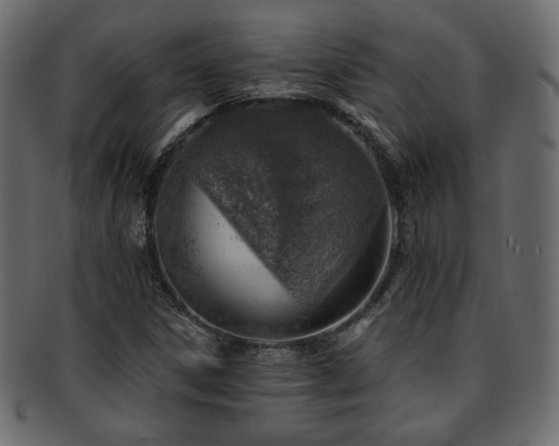 X0000093211306200709261548