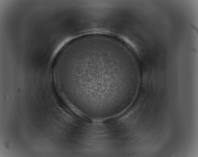 X0000093211310200709261548