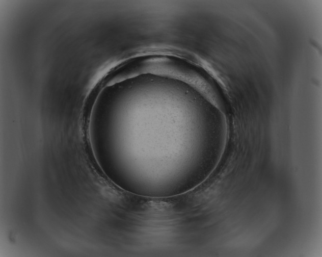 X0000093211312200709261548