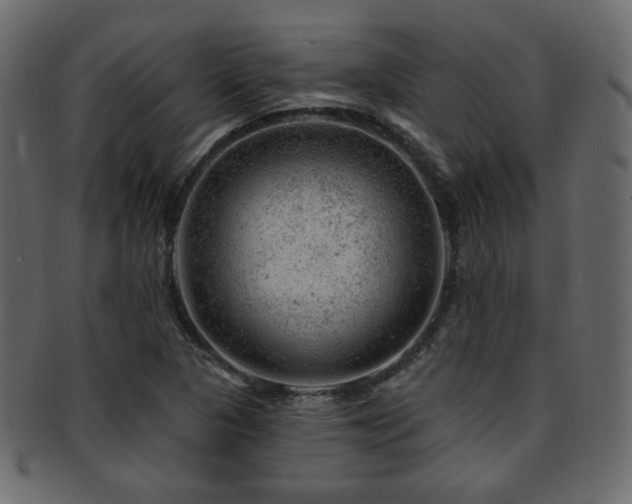 X0000093211313200709261548